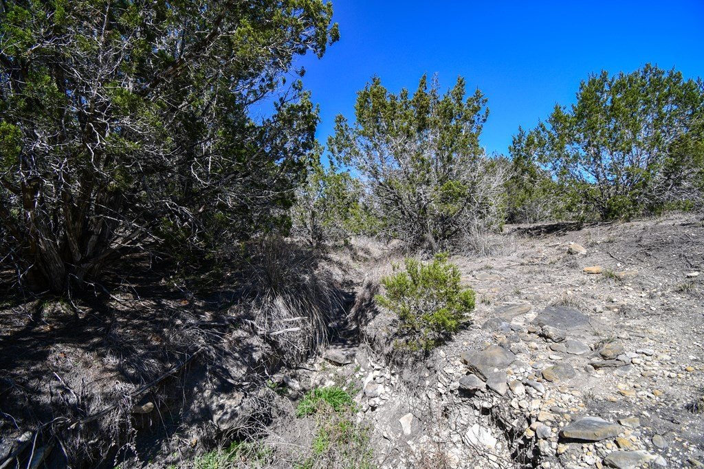 Picture 19
