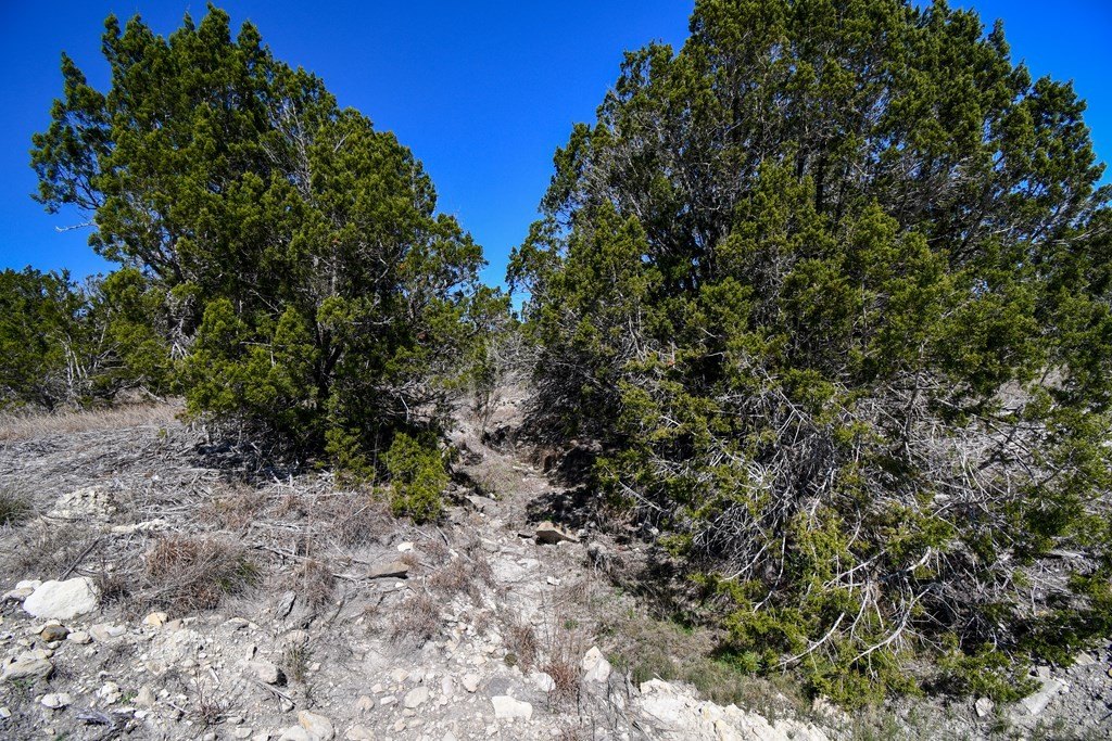 Picture 16