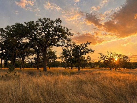 Texas Hill Country Homesite
