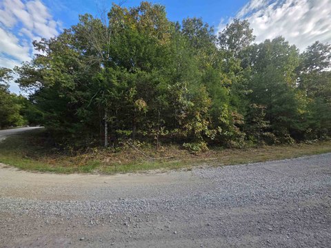 Vacant Land, Horseshoe Bend, AR