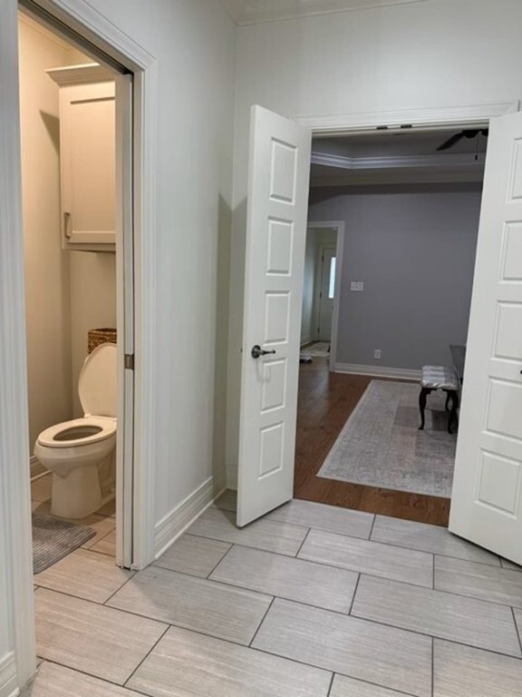 Picture 33