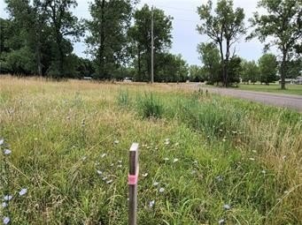 Lake Viking Land Opportunity