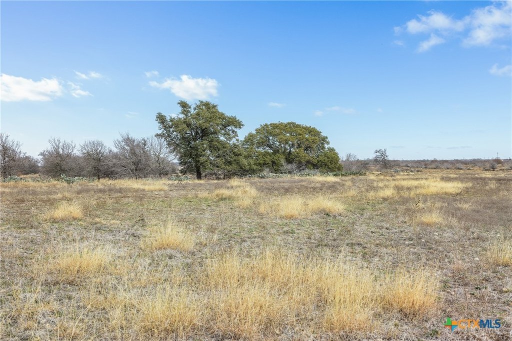 Picture 28