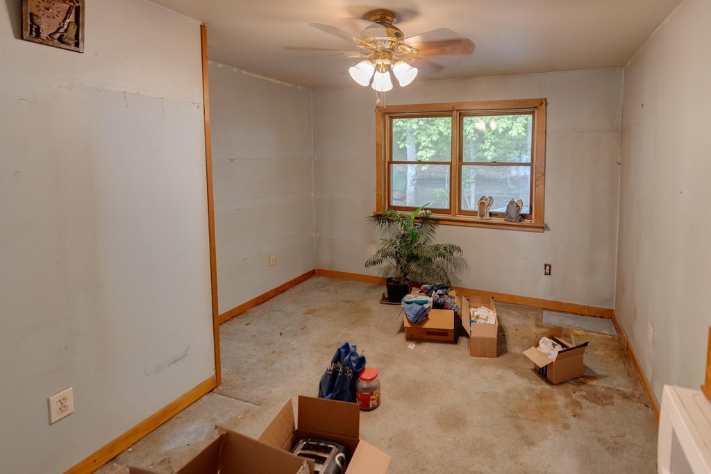 Picture 38