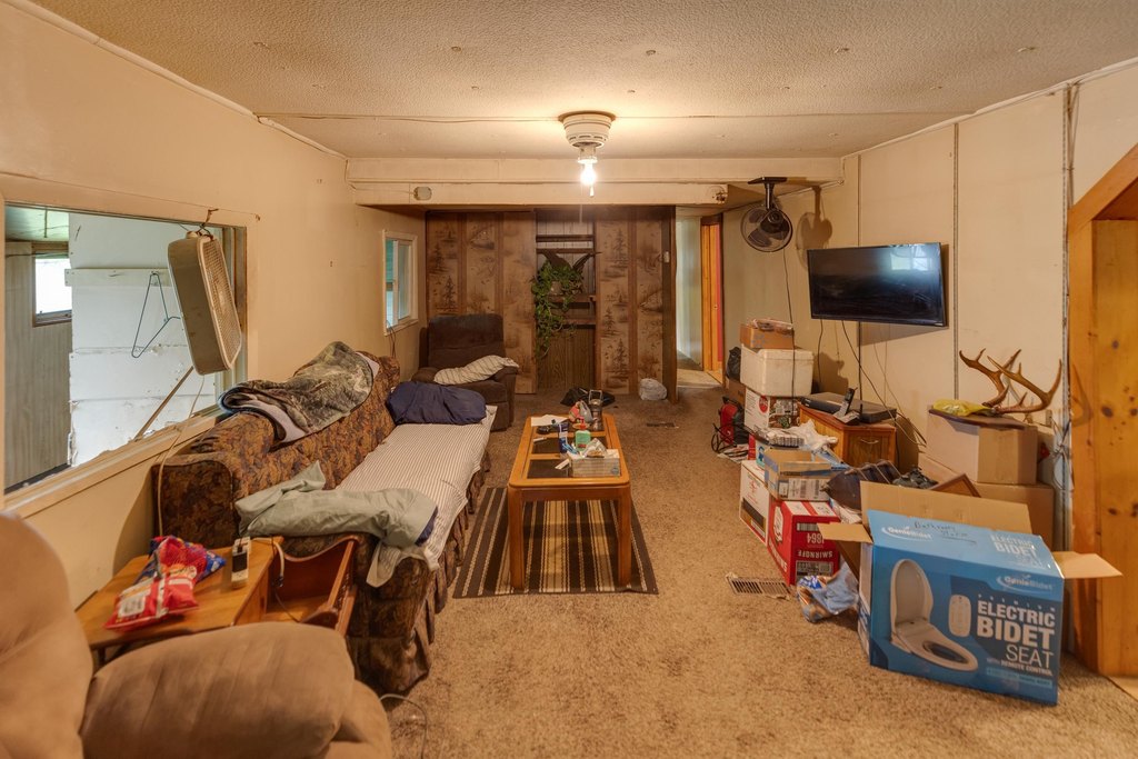 Picture 37