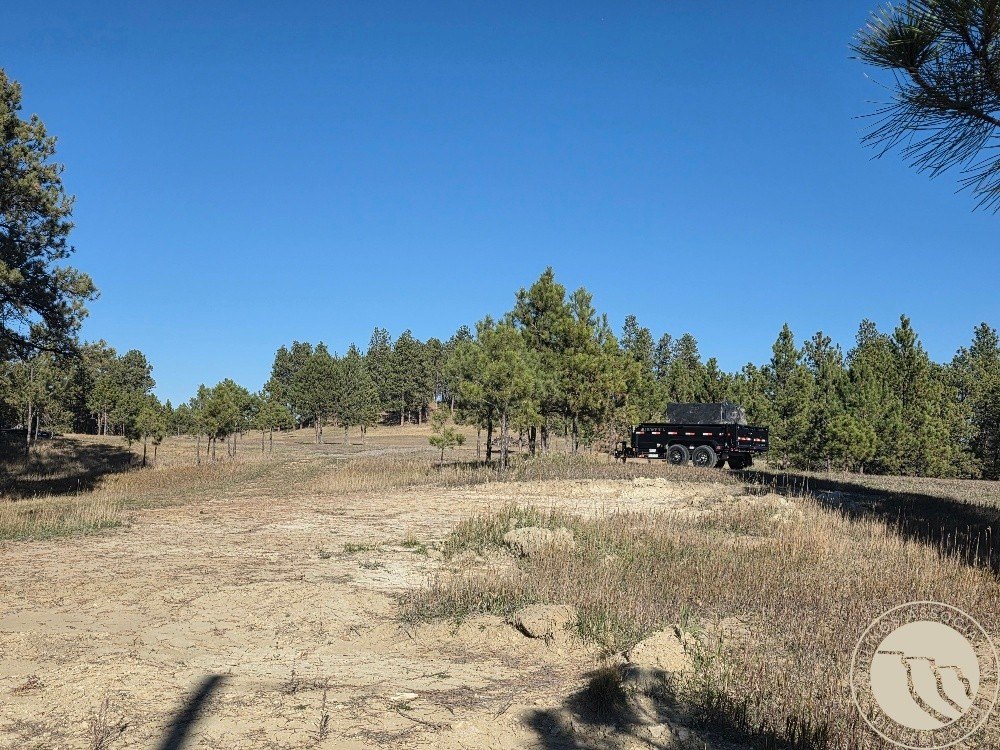 Picture 9