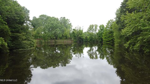 Land with Pond in Coldwater