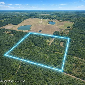 40 Acres Near Clark Lane