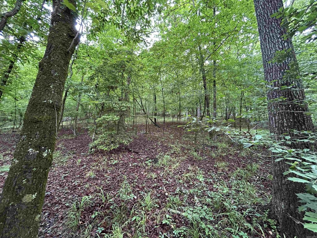 Picture 16