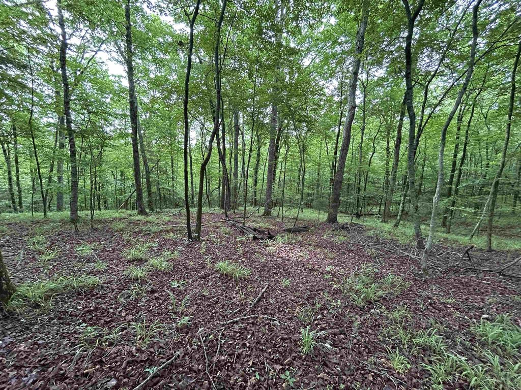 Picture 11