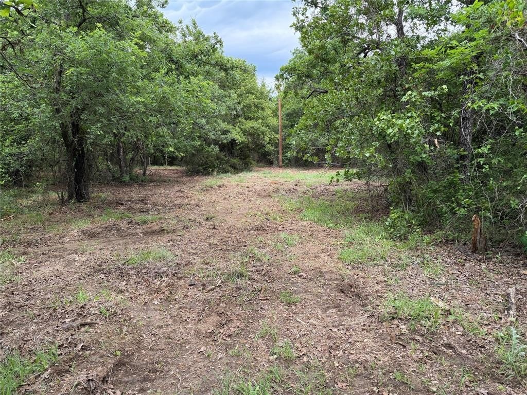 Picture 38