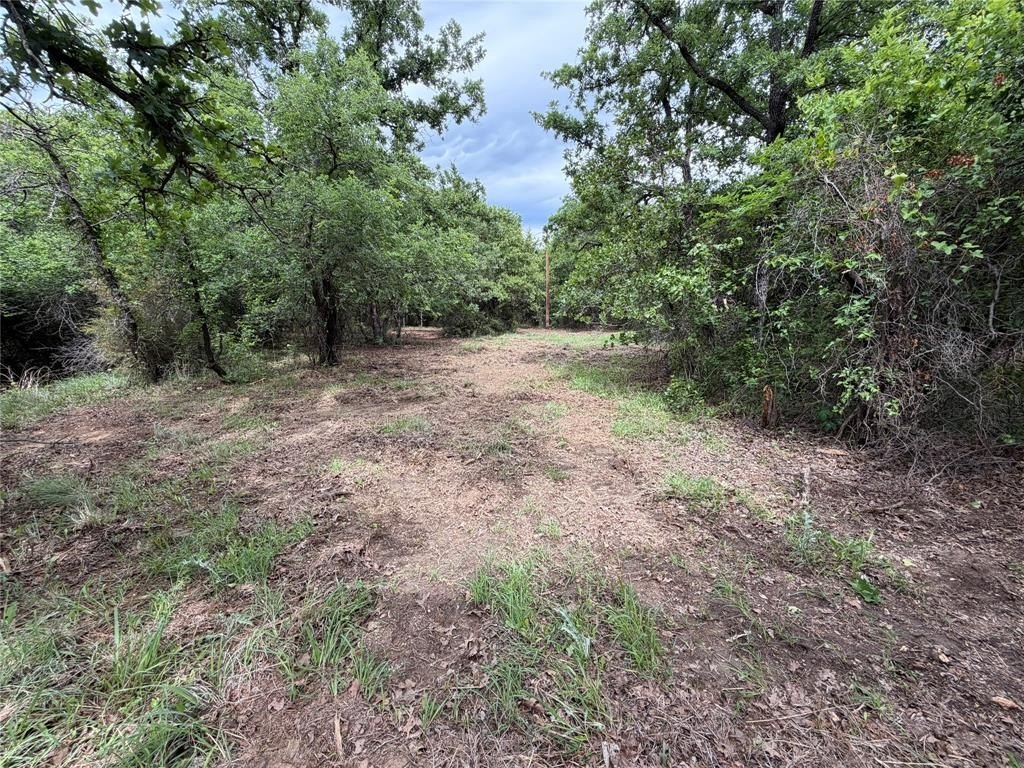 Picture 37