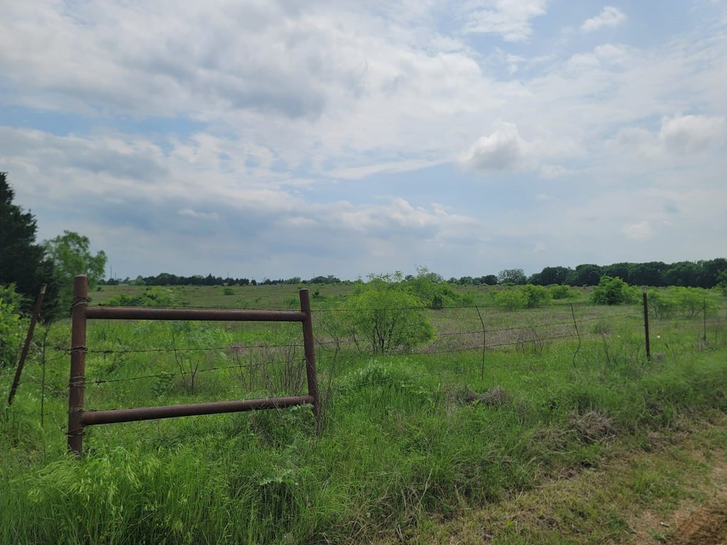 Picture 21