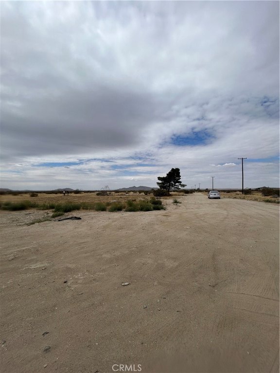 Picture 4