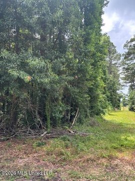 LAND - Tylertown, MS