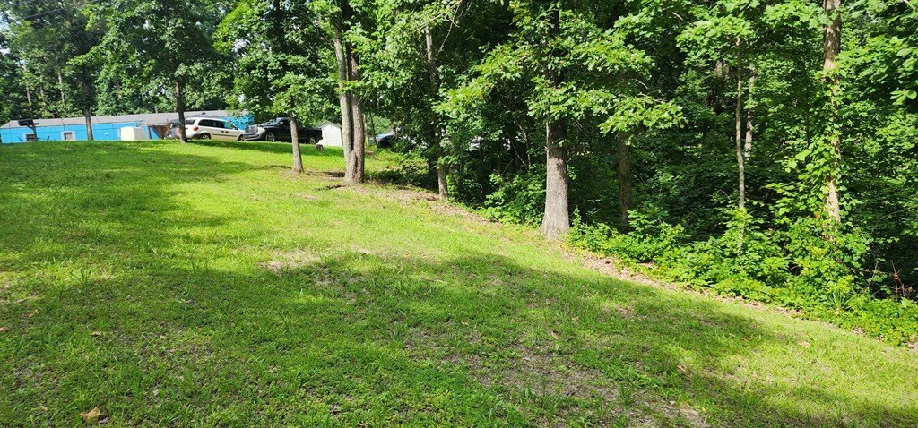 Picture 7