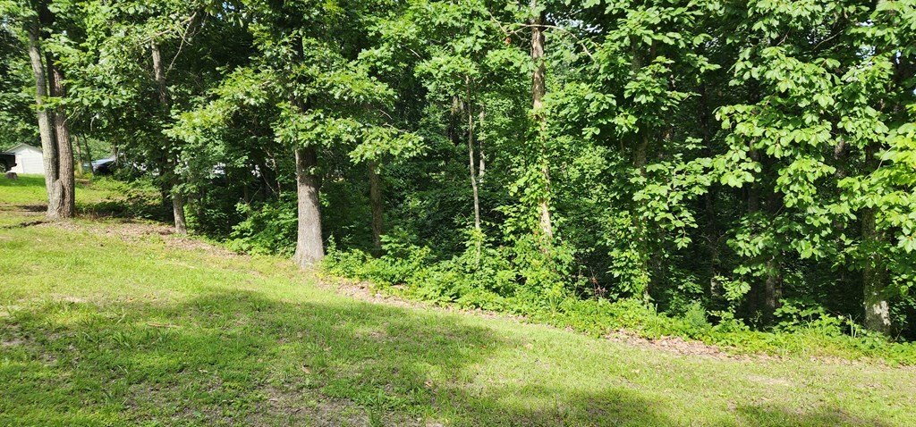 Picture 6