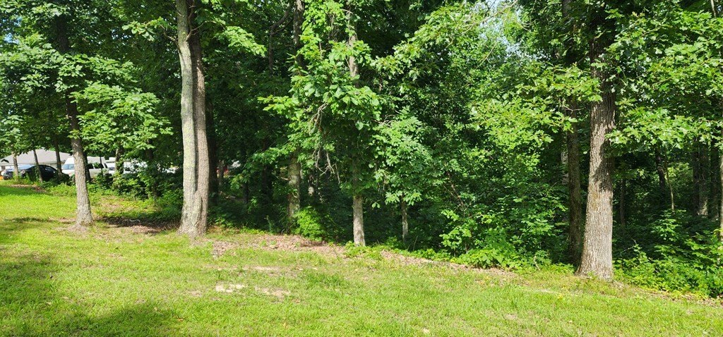 Picture 10