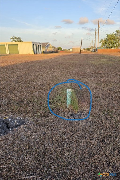 Picture 5