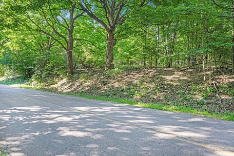 Wooded Land in Paw Paw