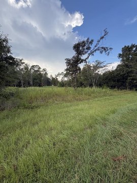 Land, Donalsonville, GA