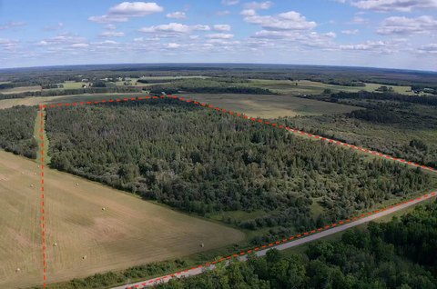 Wooded Land with Tillable Ground