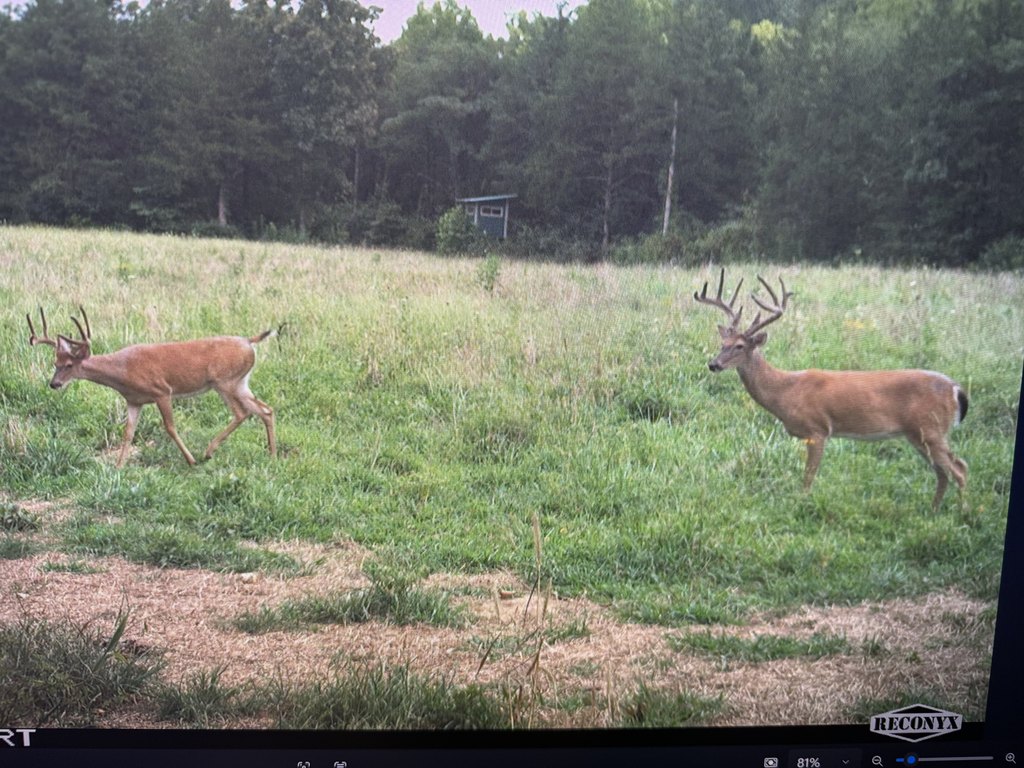 Picture 29