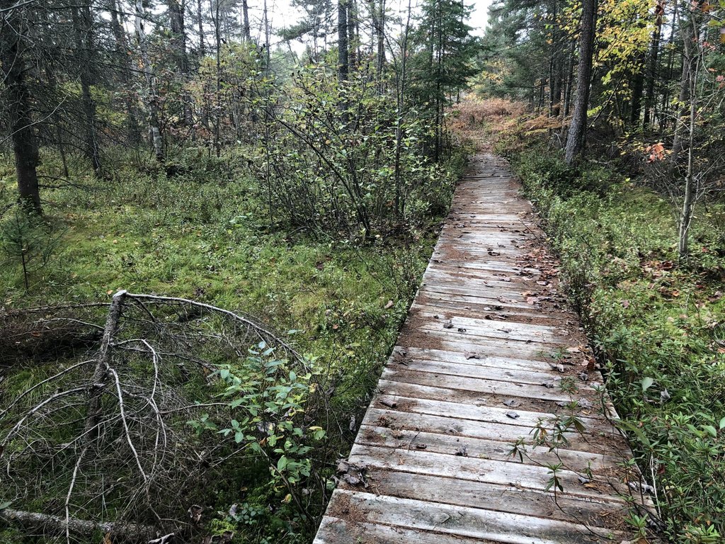 Picture 4