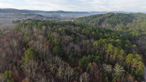 Land Near Ouachita National Forest