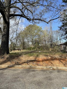 LAND - BIRMINGHAM, AL