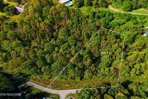 Lots & Acreage, Cosby, TN