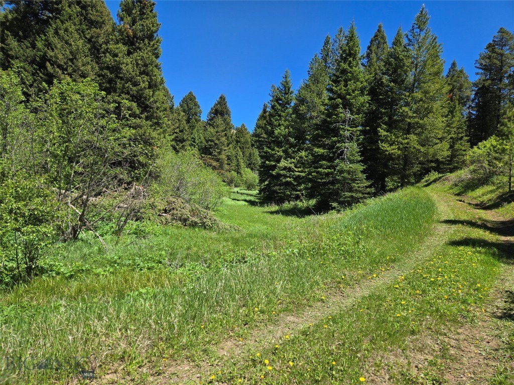 Picture 16