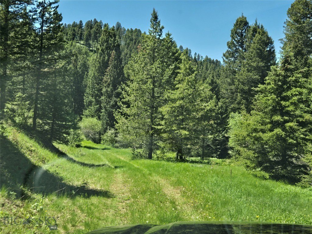 Picture 18