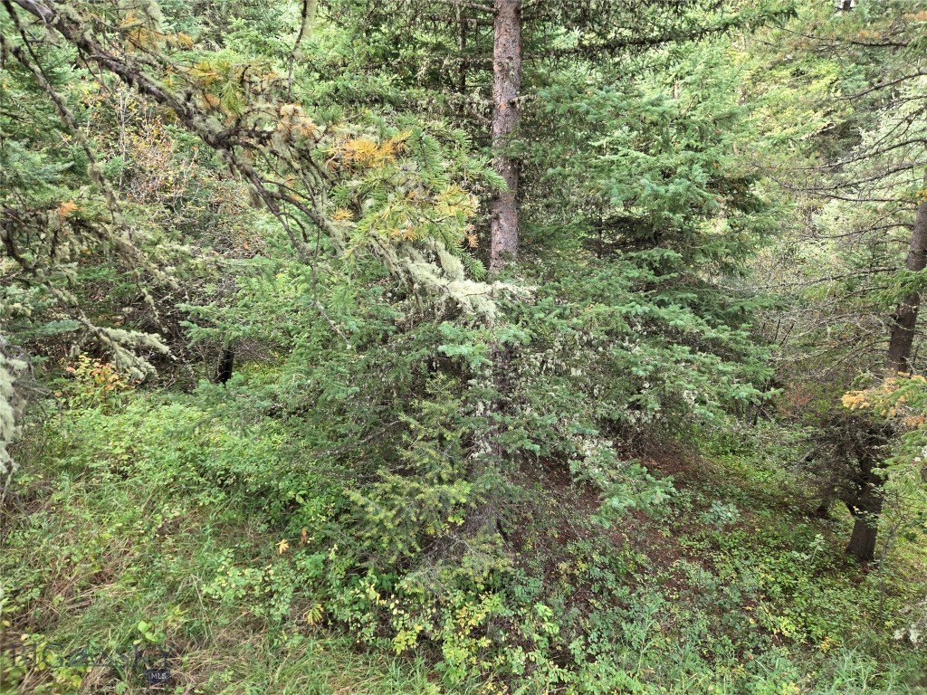 Picture 29