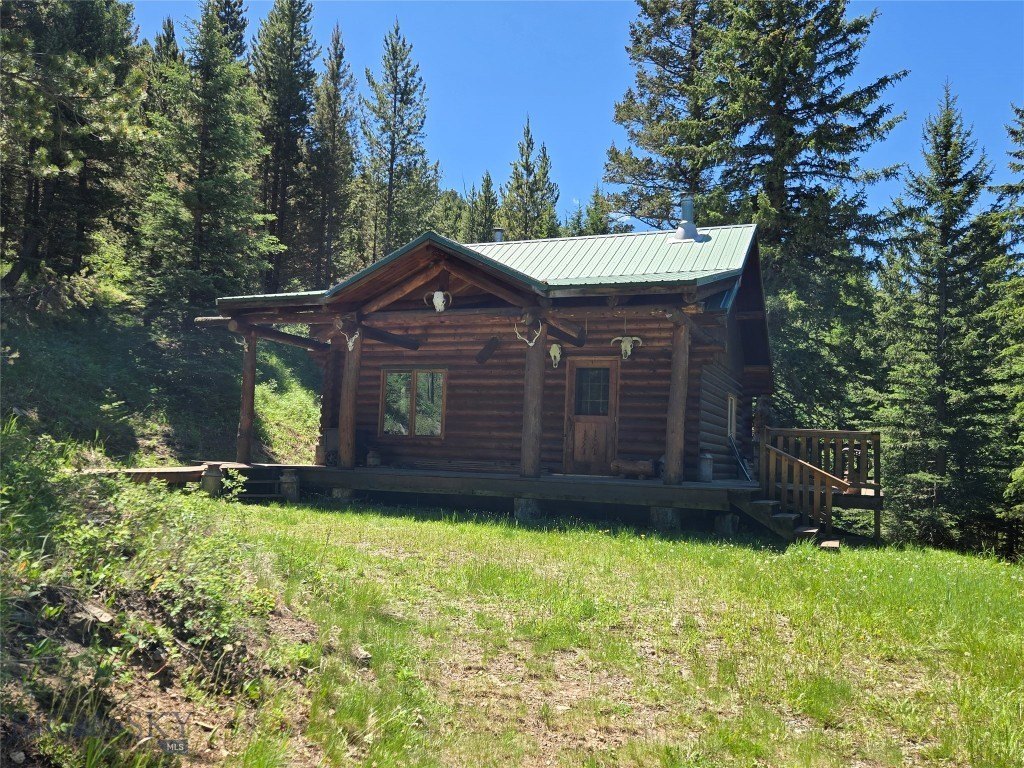 Picture 3