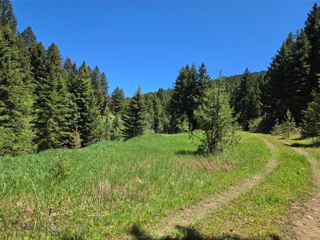 Picture 20