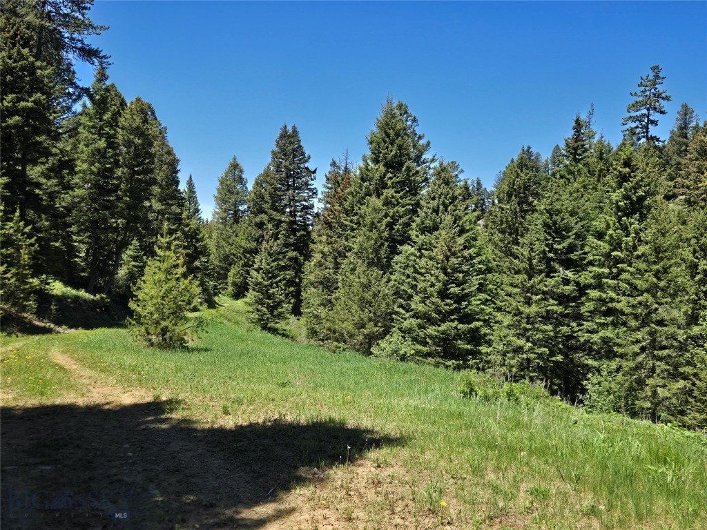 Picture 19