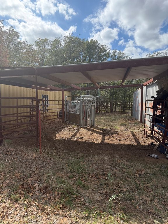 Picture 6