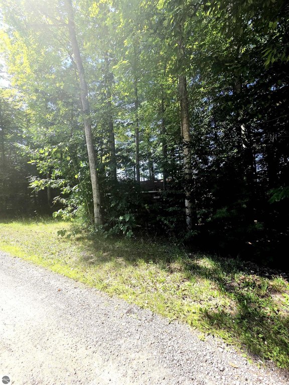 Picture 8