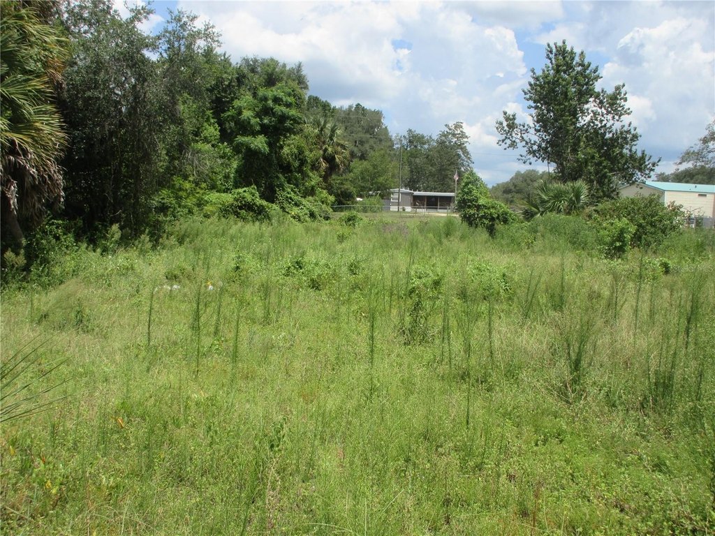Picture 9