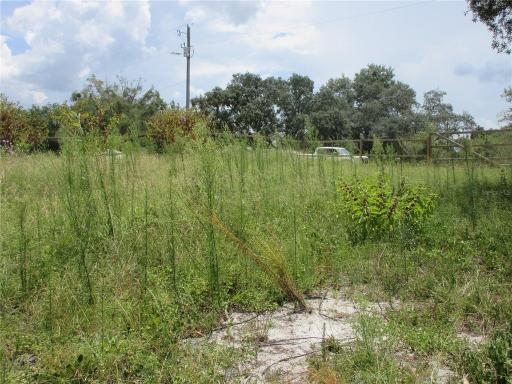Picture 8