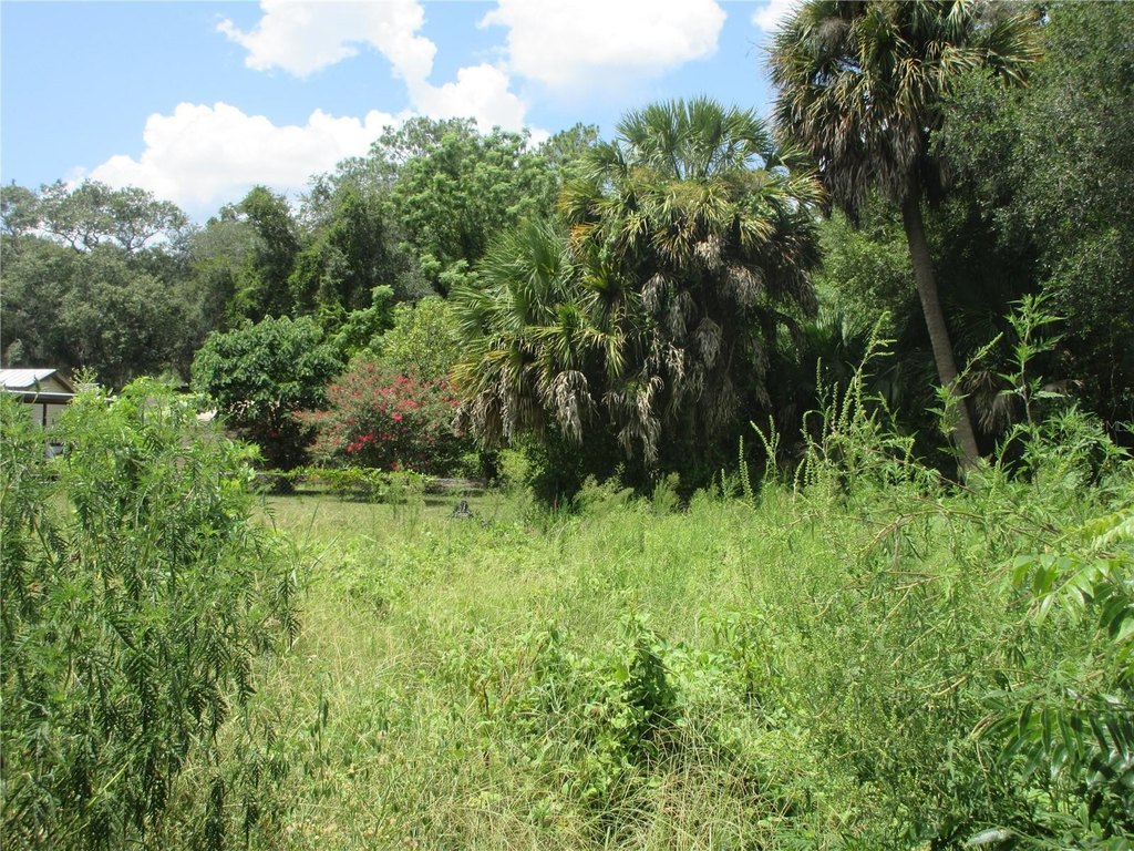 Picture 7