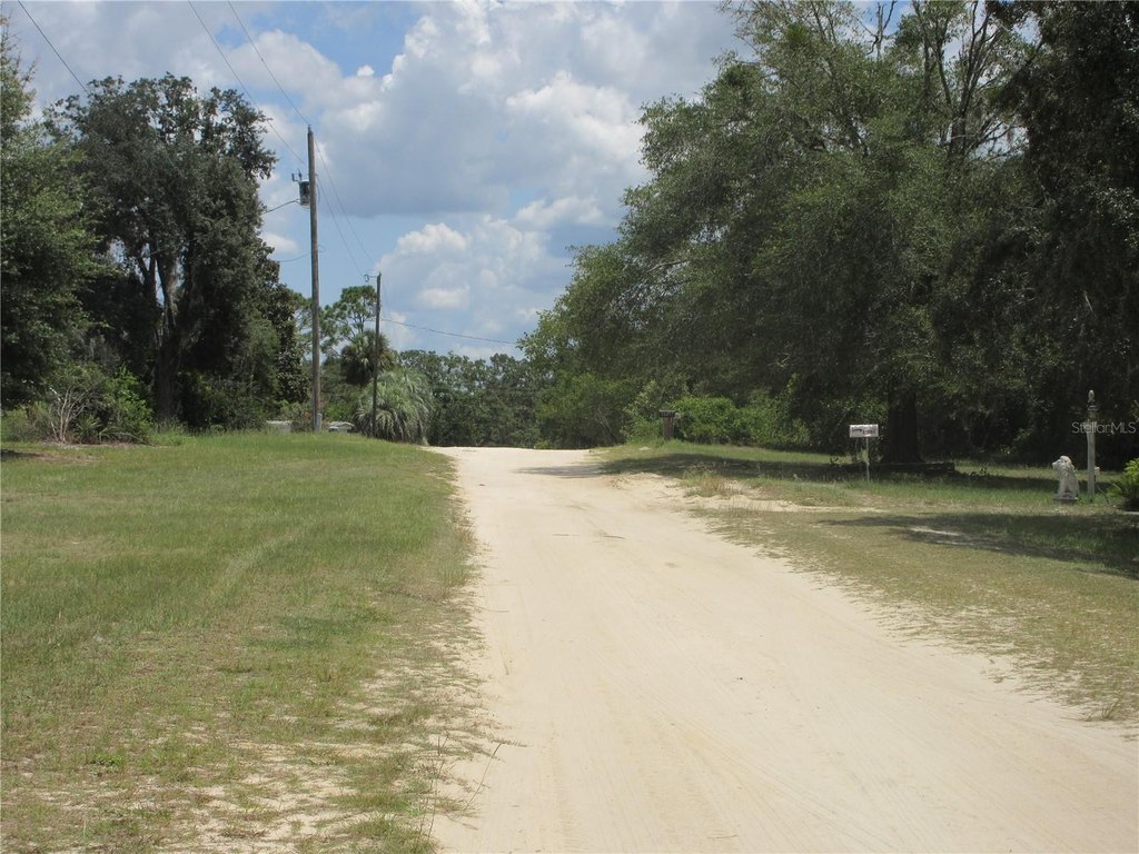 Picture 12