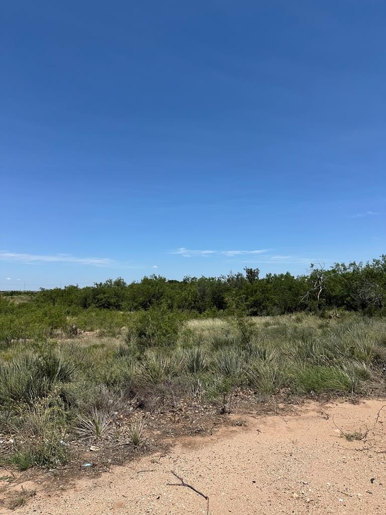 Residential Land in Snyder, TX