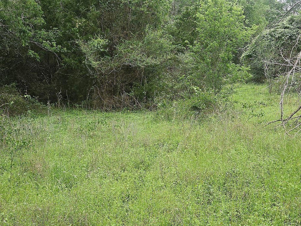 Picture 4