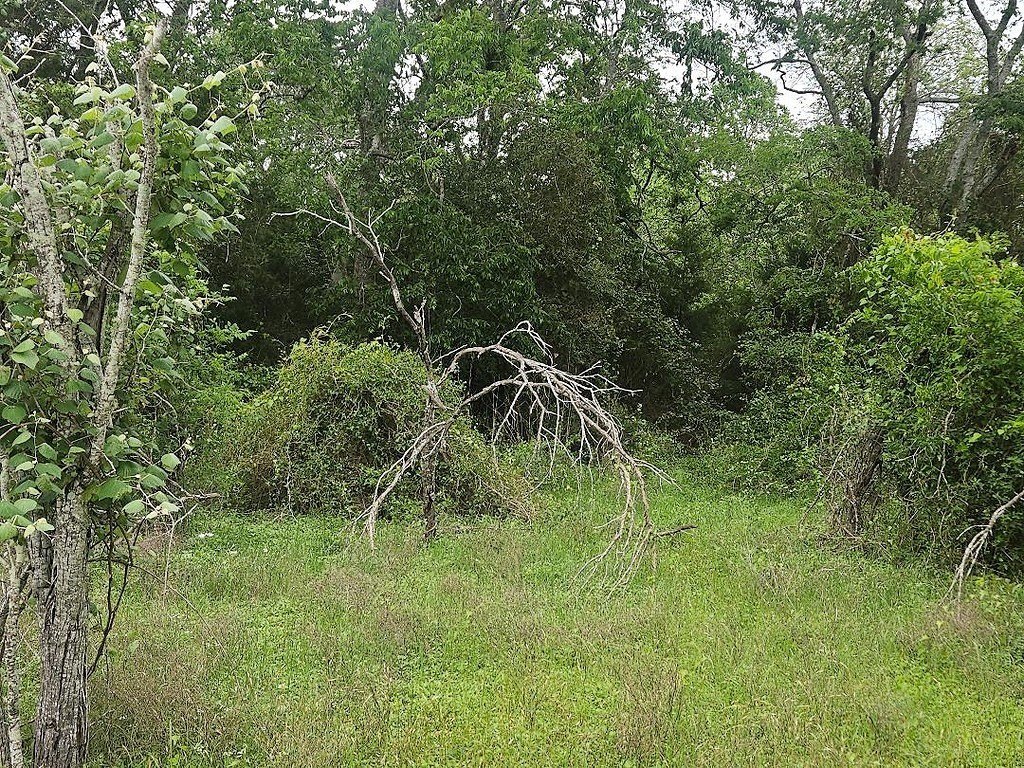 Picture 5
