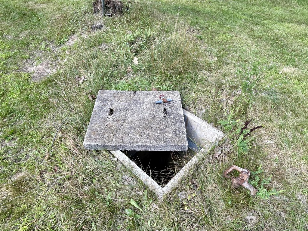 Picture 15