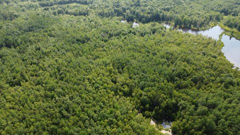 Cherryfield Rural Acres for Sale