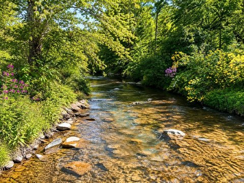 Creekfront Land with Meadow