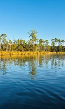 Land, Mobile, AL